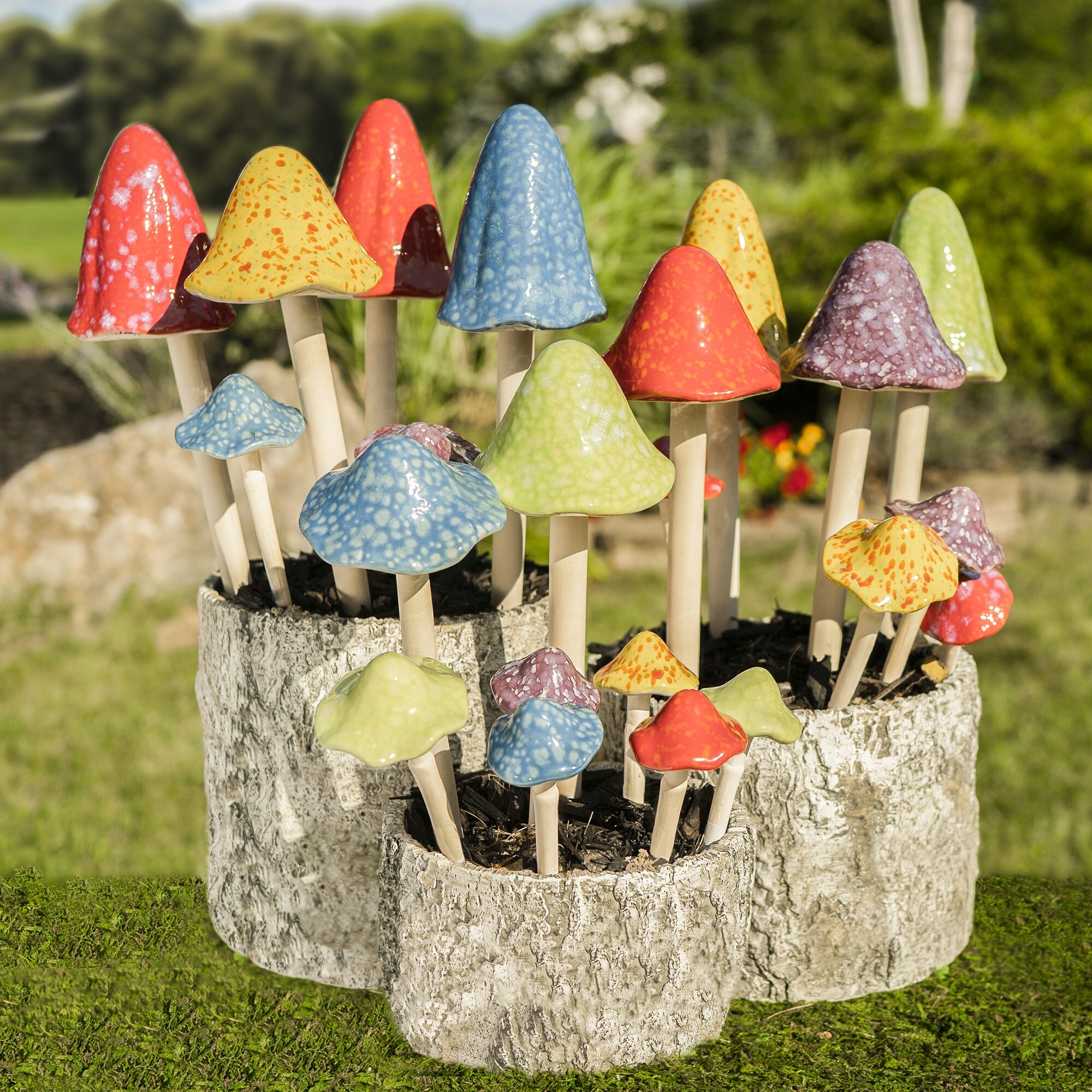 Mushroom Package Program, Brights - mushrooms | Marshall Home and Garden