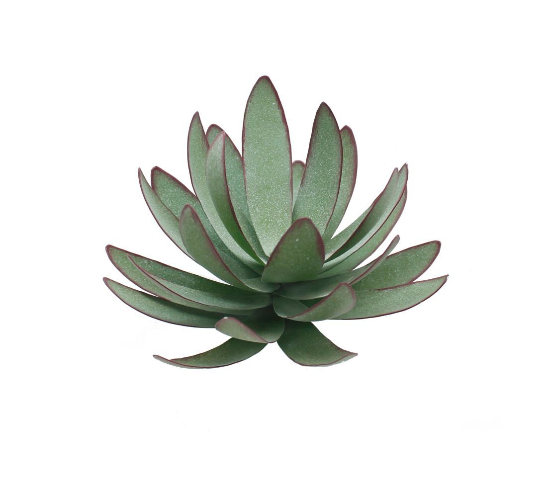 Metal Succulent metal succulents Marshall Home and Garden