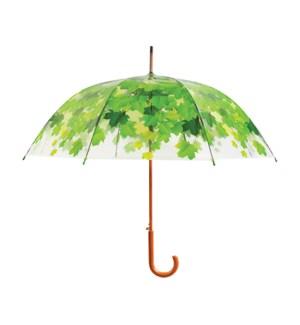 "Umbrella tree, 36.5in (D), On Sale, LC"