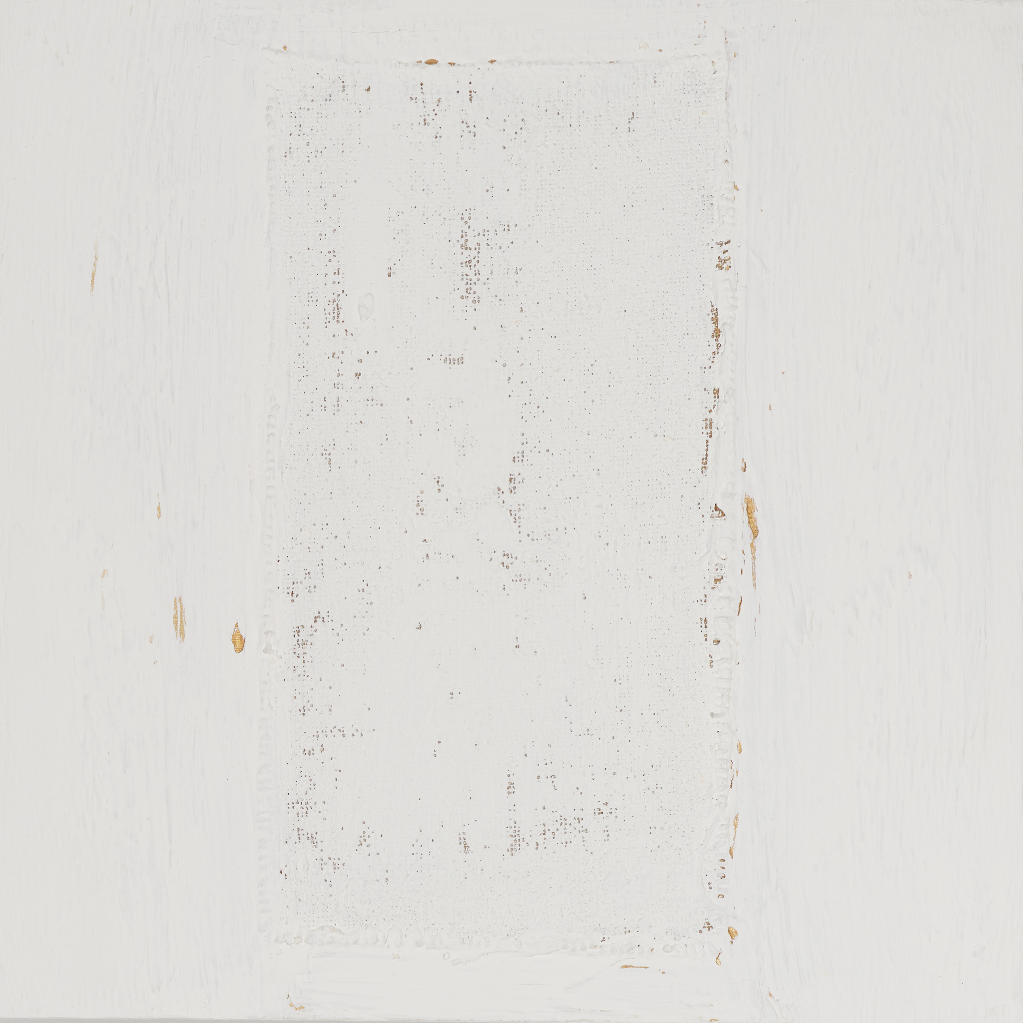 Bashful GALLERY WRAP