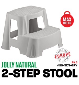 Plastic 2-Step Stool Gray