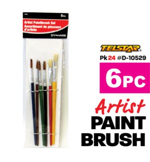 6 Pc Artist Paint brush Set