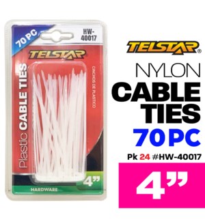 Nylon Cable Ties 4" 70Pc