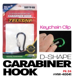 Carabiner Keychain