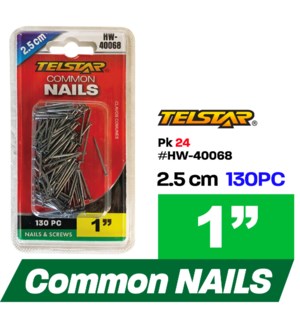 Nails Common 1" 130Pc