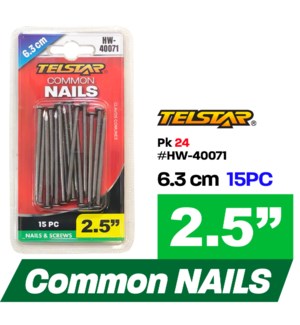 Nails Common 2.5" 15Pc