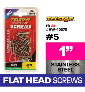 Screws Flat Head 1" 42Pc