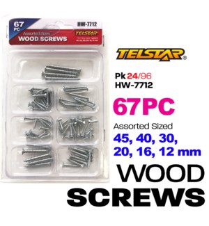 Wood Screws Assorted