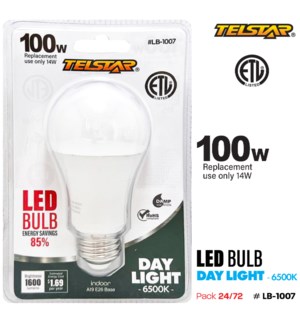 Light Bulb Daylight LED 100W