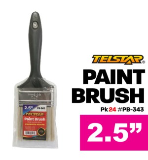 Paint Brush Premium 2-1/2"