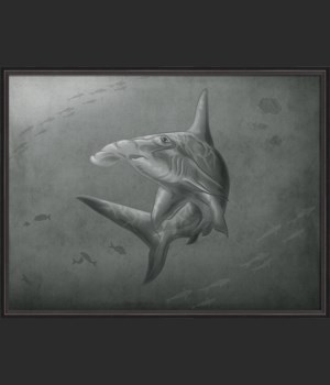BC Sea Creature Shoal of Sharks