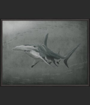 BC Sea Creature Sharks Parlor