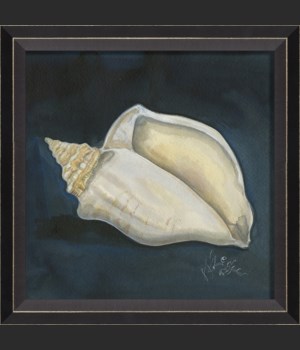 BC Seashell No4
