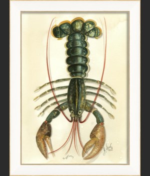 SS Lobster01