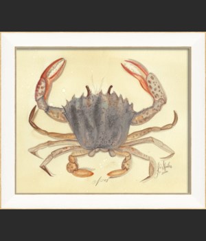 SS Crab08