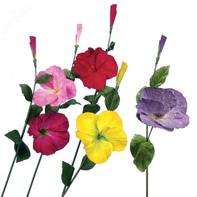 HIBISCUS/GIANT W/1 BUD 13″ HEA HIBISCUS/GIANT W/1 BUD 13″ HEA