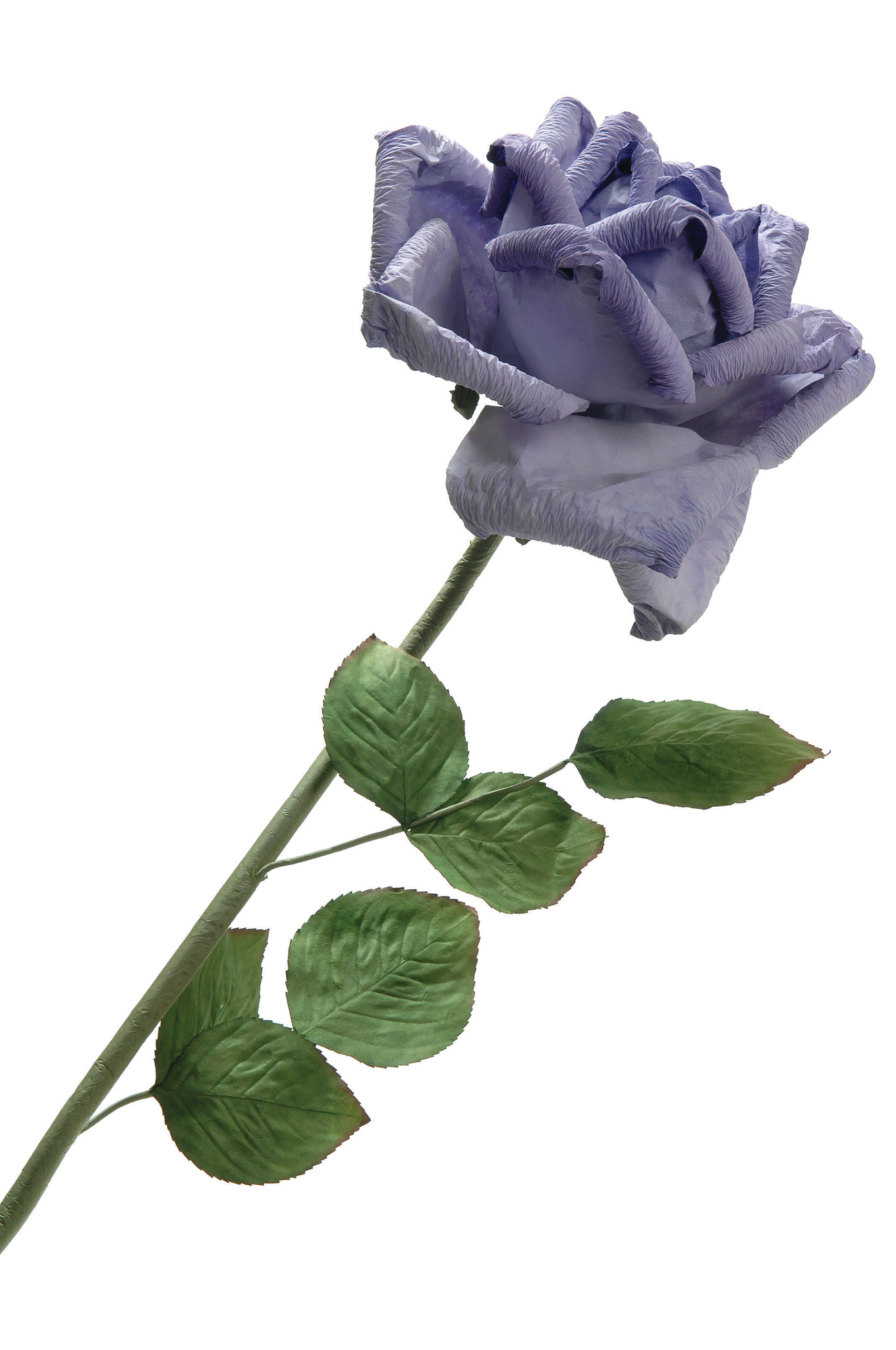 ROSE LARGE 24″ HEAD LAVENDER ( ROSE LARGE 24″ HEAD LAVENDER (
