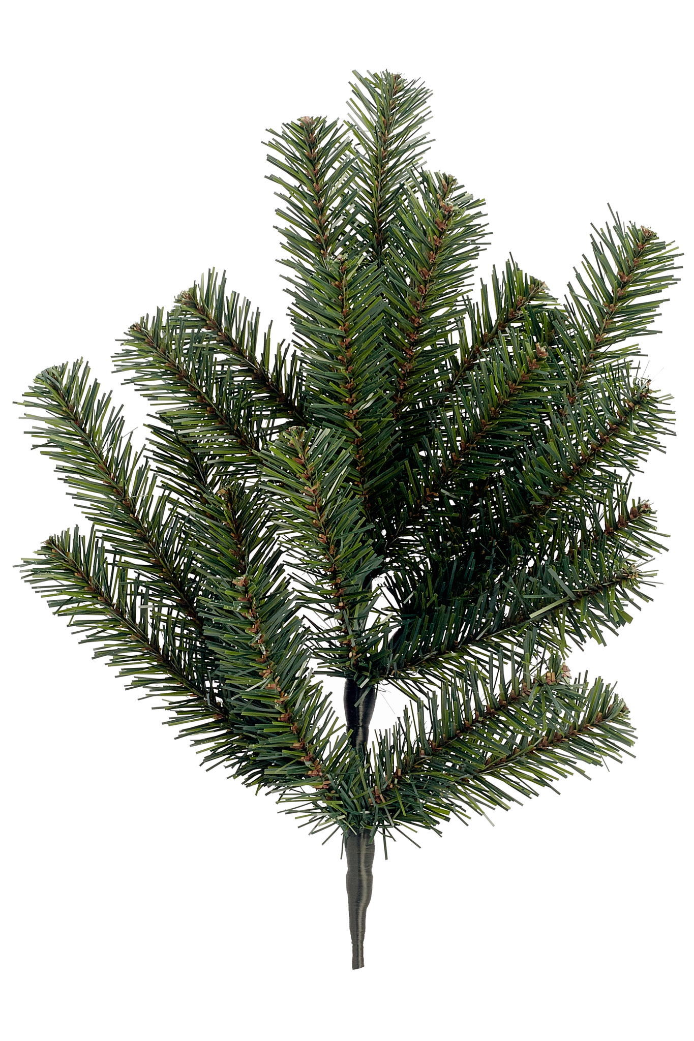 BRANCH GREEN 22TIPS 24″