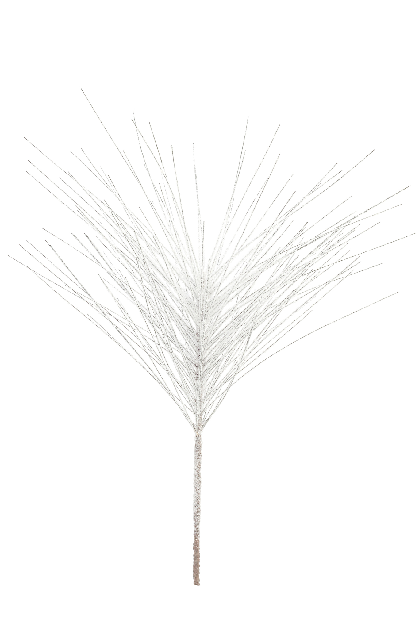 SPRAY LONG NEEDLE W/SNOW 21″ SPRAY LONG NEEDLE W/SNOW 21″