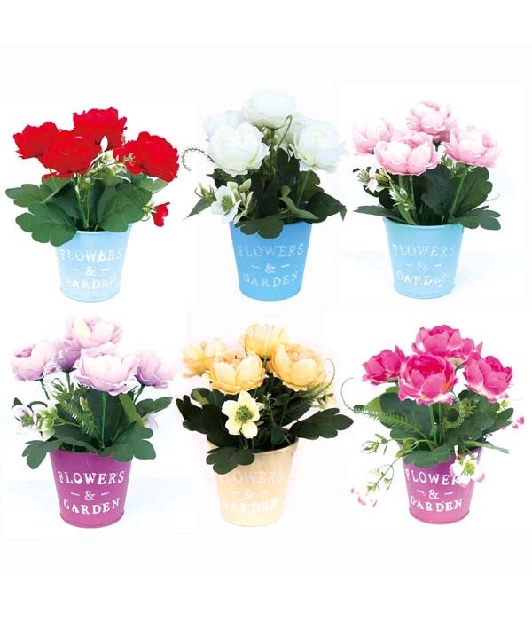 potted flower astd clr 60s