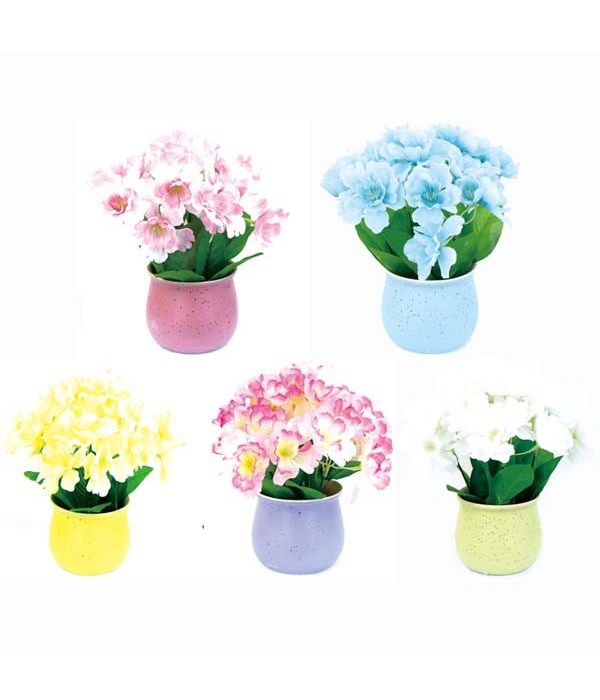 potted flower astd clr 12/60s