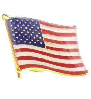 AMERICAN FLAG PINS #3101