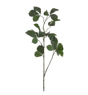 Parthenocissus green  - 49.25"