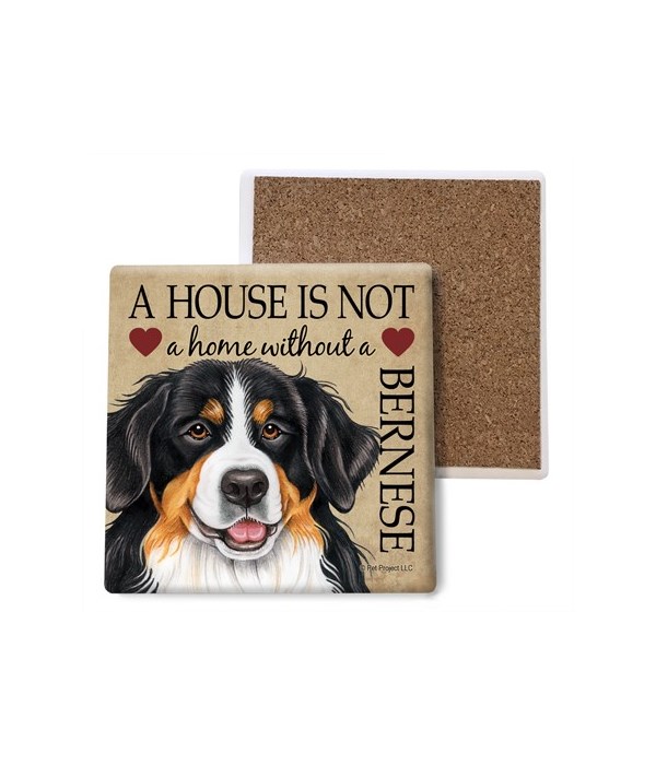 A house is Not a home without a Bernese