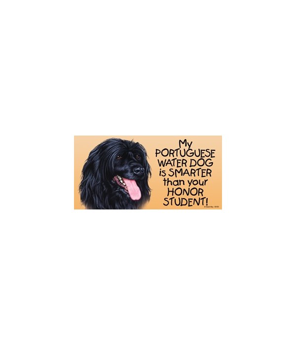 My Portuguese Water Dog is smarter than