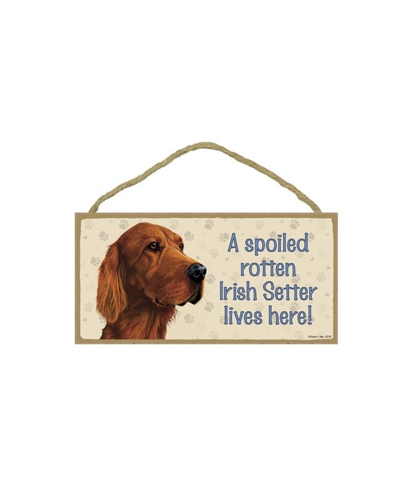 Irish Setter Spoiled 5x10