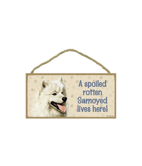 Samoyed Spoiled 5x10