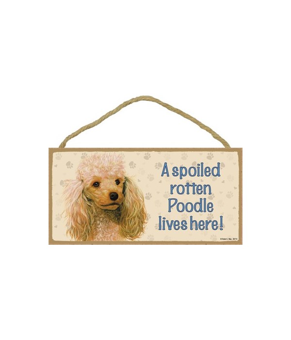 Poodle (Apricot) Spoiled 5x10