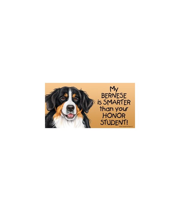 My Bernese is smarter than yourHonor st