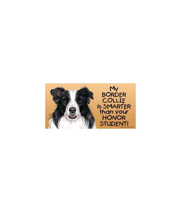 My Border Collie is smarter than your ho