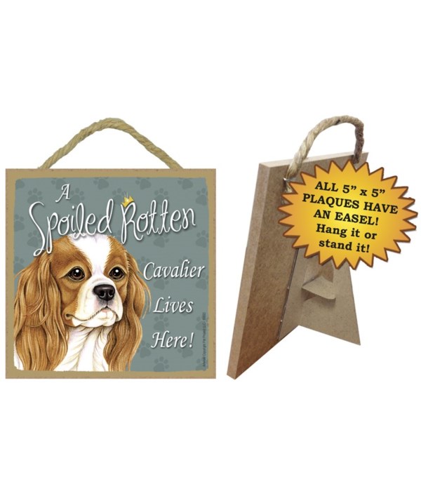 Cavalier King Chas Sp Spoiled 5x5 Plaque