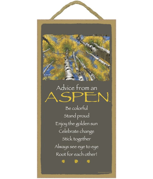 Advice from an Aspen 5x10