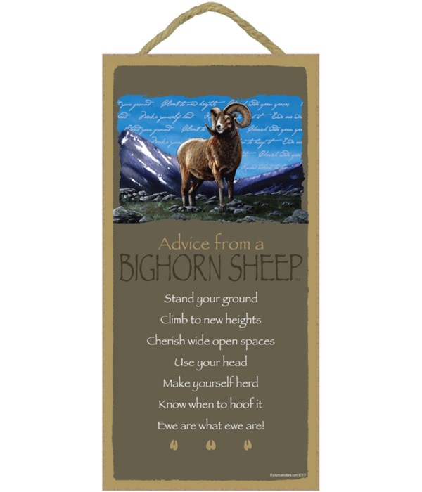 Advice from a Big Horn Sheep 5x10