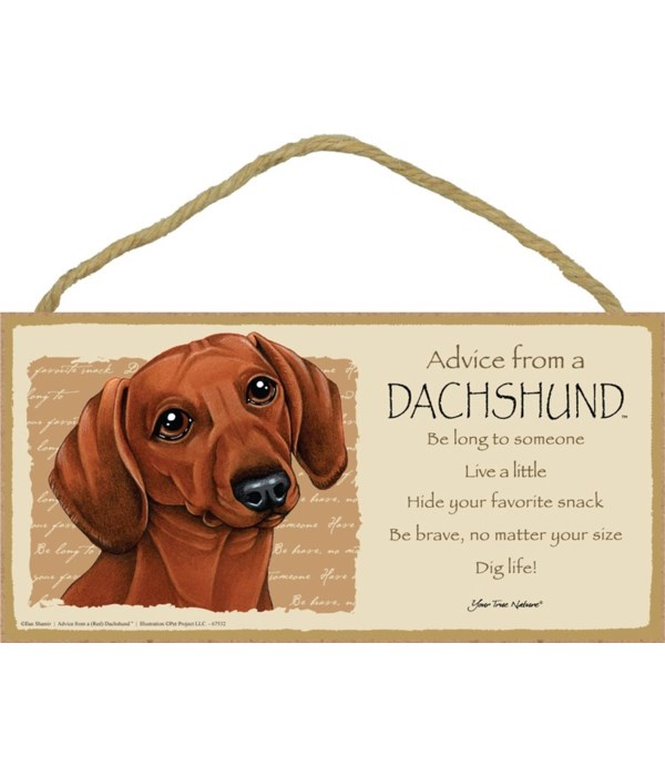 Advice from a Dachshund (red) 5x10