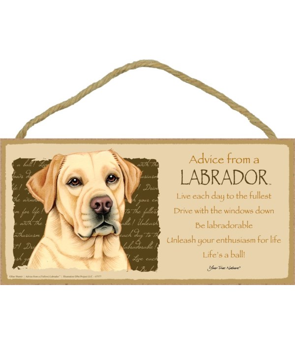 Advice from a (Yellow) Labrador 5x10