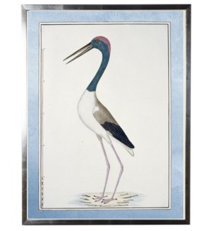 Waterbird with pale blue border