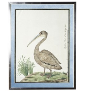 Waterbird with pale blue border