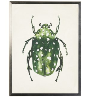 Watercolor green bug