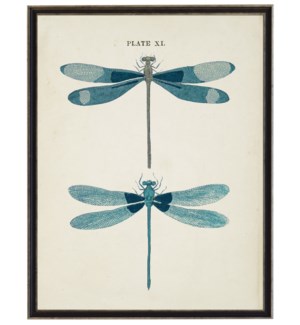 Blue dragonflies bookplate