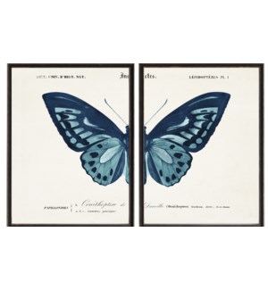 Blue Butterfly B diptych