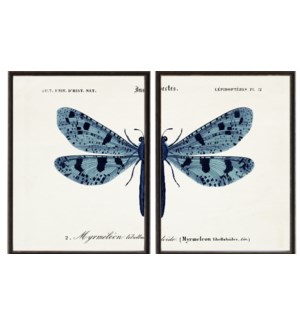 Blue Dragonfly C diptych
