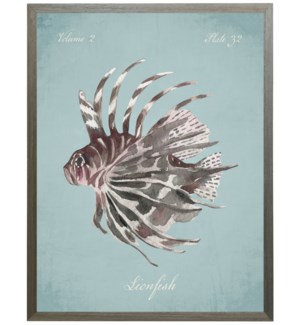 Lion Fish on spa background