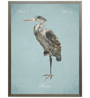 Heron on spa background