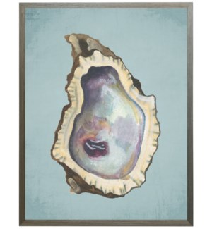 Watercolor oyster shell on spa background