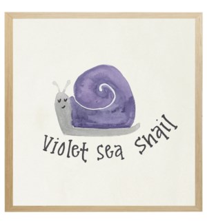 Nautical Alphabet V Violet Sea Snail