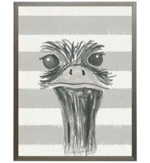 Black and white watercolor emu on horizontal stripes